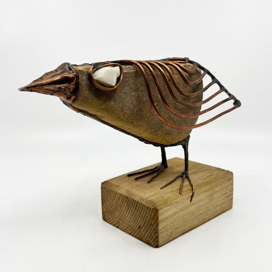 Bird