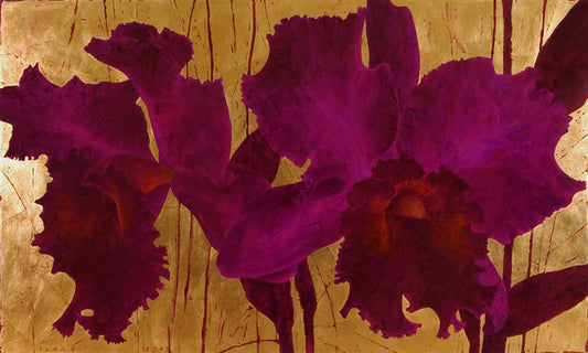 Cattleya Purple
