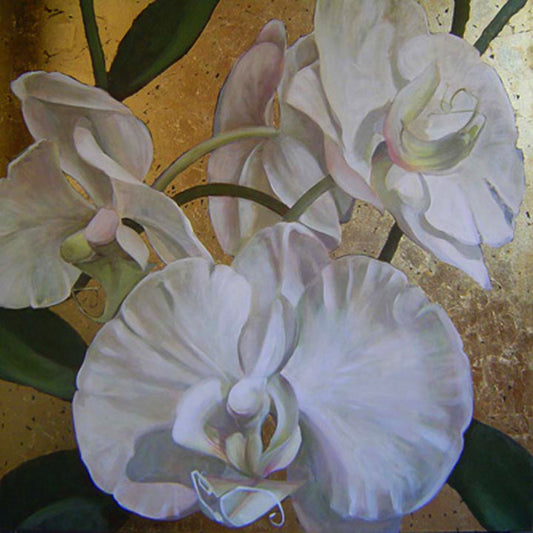 Phalaenopsis Alba III