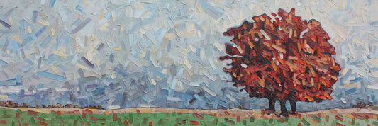 Autumn Maple 7