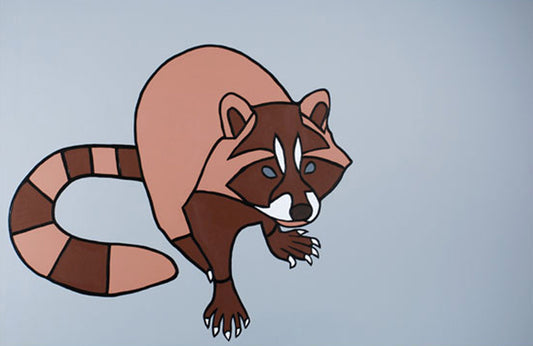 Grey Raccoon