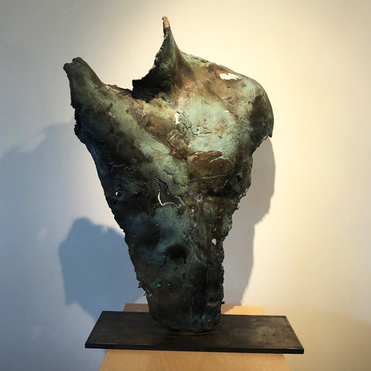 Male Torso