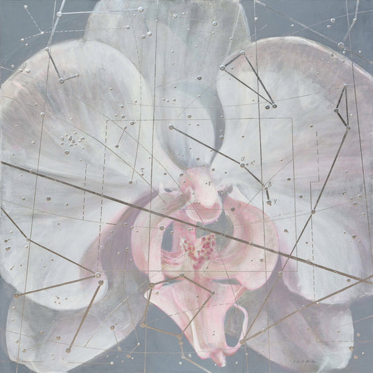 Aries