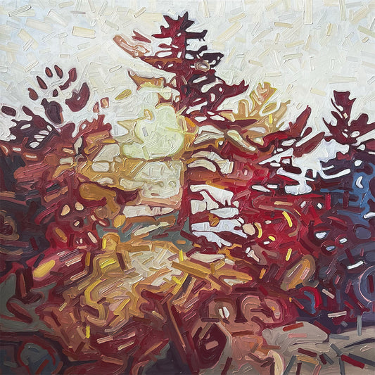Shifting Pine