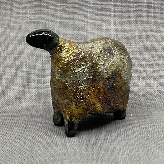 Gold Sheep