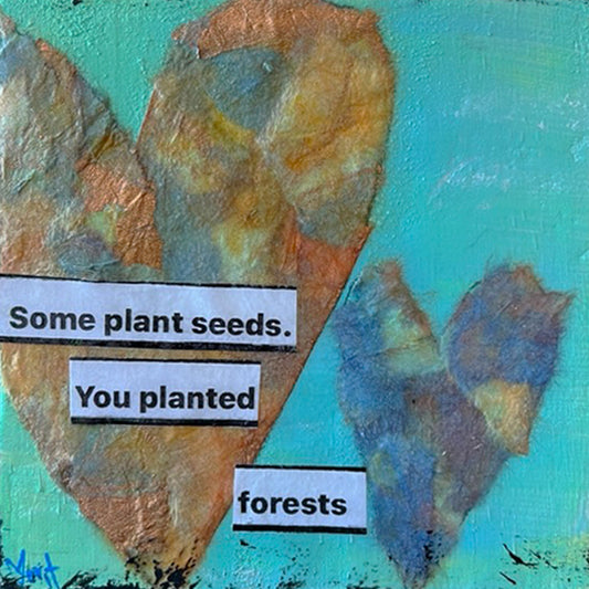 Some Plant Seeds …