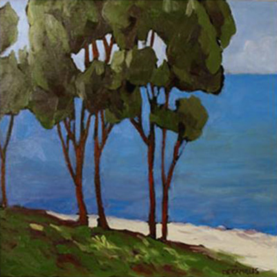 Overlooking the Valley - Laurie de Camillis