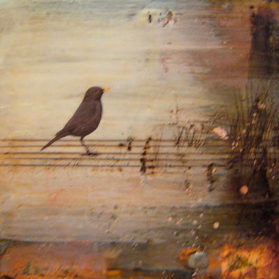 Bird On Wire - Nava Waxman