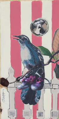 Bird Trick 20 - Dulce Tapp